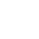 Steyr Mannlicher