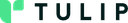 Tulip Tech
