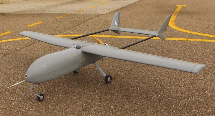 TARSIS 25