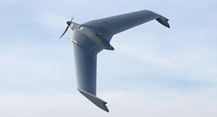 Crex-B1