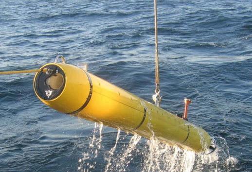 Blueﬁn-12D
