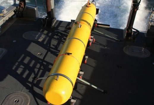 Blueﬁn-21