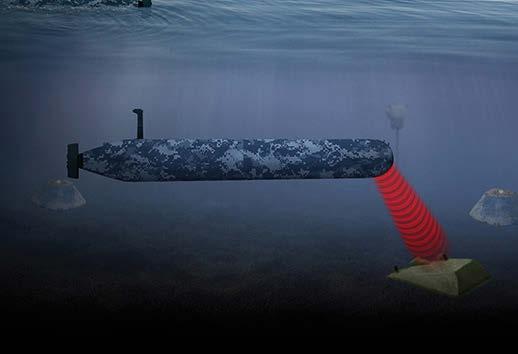 Blueﬁn-Knifeﬁsh