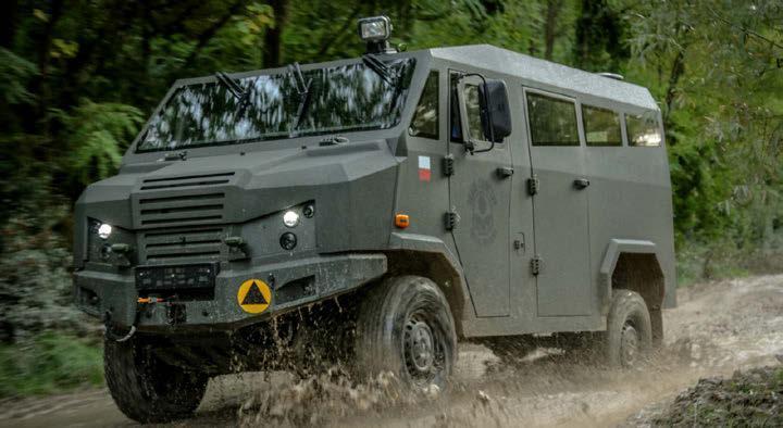 LTMPV Dino 319