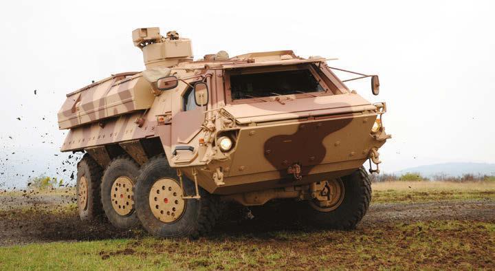 Fuchs 2