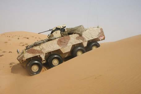 RG41