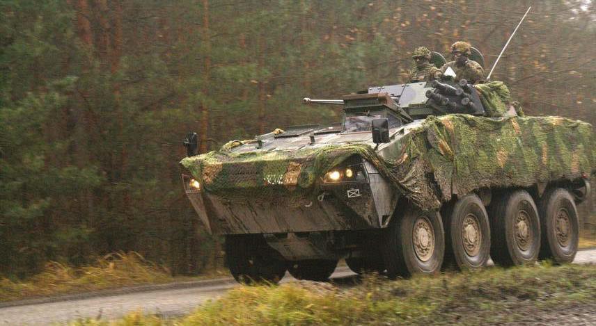 Rosomak