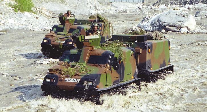 Bv206S