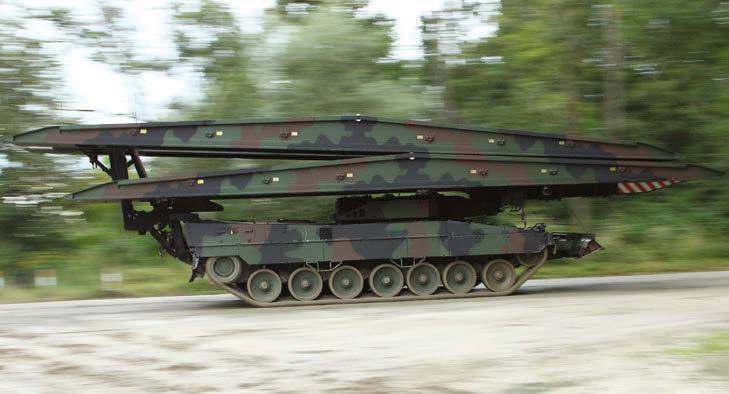 Leguan Leopard 2