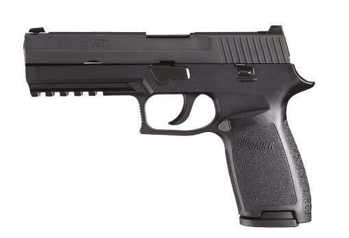 P250 Full-Size