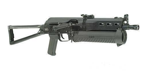 Bizon-2-01