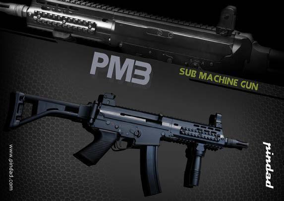 PM3