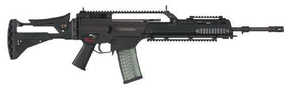 G36