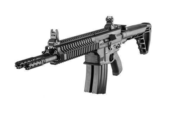 Gilboa DBR Snake