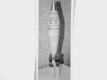 81 mm Smoke (WP) bomb M513A1