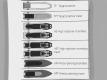 20 × 82 mm
