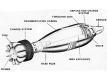 120 mm HE improved bomb HE-L