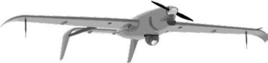 RAYBIRD 3