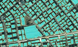 Instance Segmentation