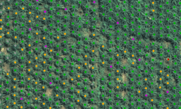 Object Detection