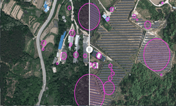 Change Detection