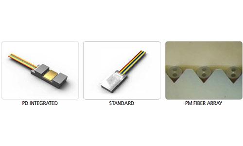 Fiber Array Series