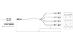 Optical Fiber Patch Cord(MPO/MTP Solution)