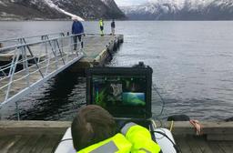 OPENSEA