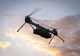 Talon DT-300